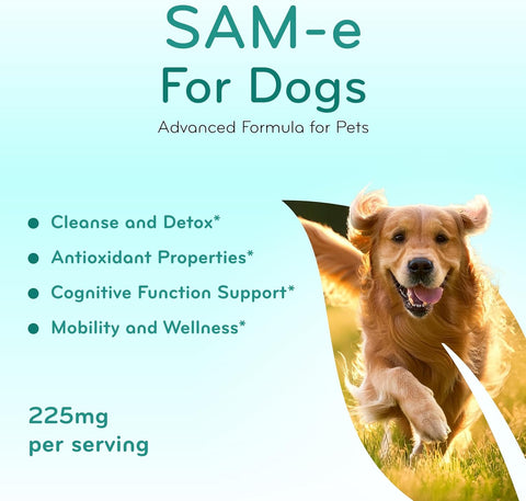 Liver Support for Dogs with SAM-e - Chewable SAM-e for Dogs Bone Mood Joint Brain and Liver Support Supplement with Easy Absorption 225mg S-Adenosyl-L-Methionine - Made in a cGMP US Lab (Single)