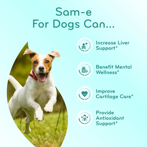 Liver Support for Dogs with SAM-e - Chewable SAM-e for Dogs Bone Mood Joint Brain and Liver Support Supplement with Easy Absorption 225mg S-Adenosyl-L-Methionine - Made in a cGMP US Lab (Single)