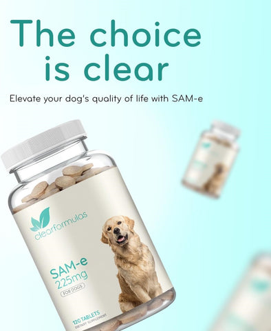Liver Support for Dogs with SAM-e - Chewable SAM-e for Dogs Bone Mood Joint Brain and Liver Support Supplement with Easy Absorption 225mg S-Adenosyl-L-Methionine - Made in a cGMP US Lab (Single)