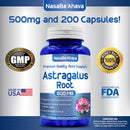 Astragalus - 500 mg - 200 Capsules